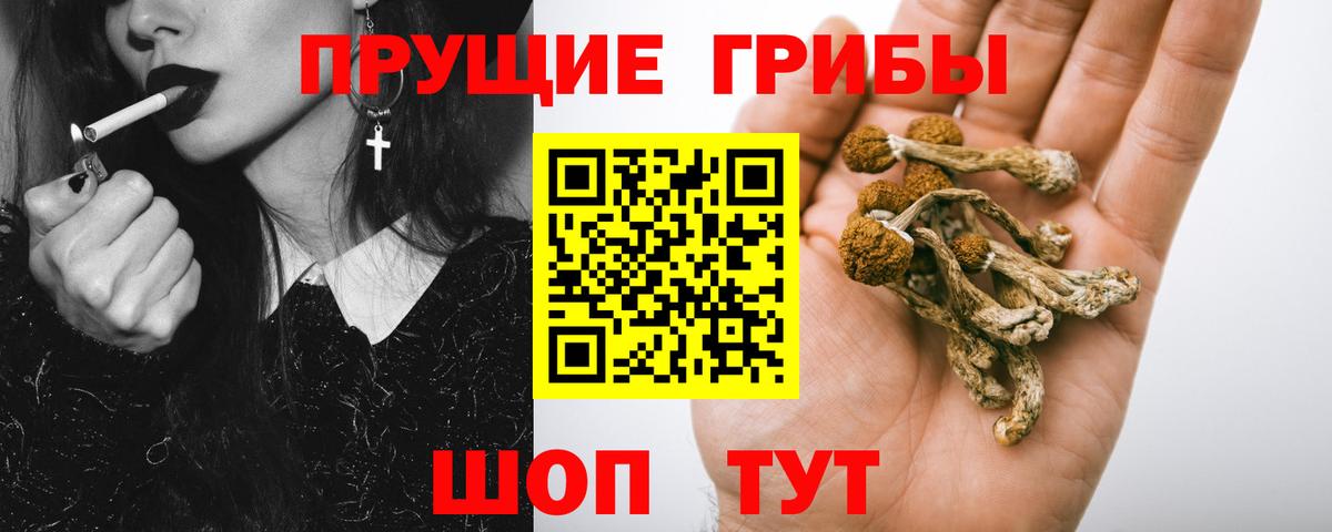 Псилоцибиновые грибы Magic Shrooms  Вход с VPN  Лангепас 